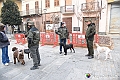 VBS_3748 - Quattordicesimo Raduno Nazionale dei Tabui 2024